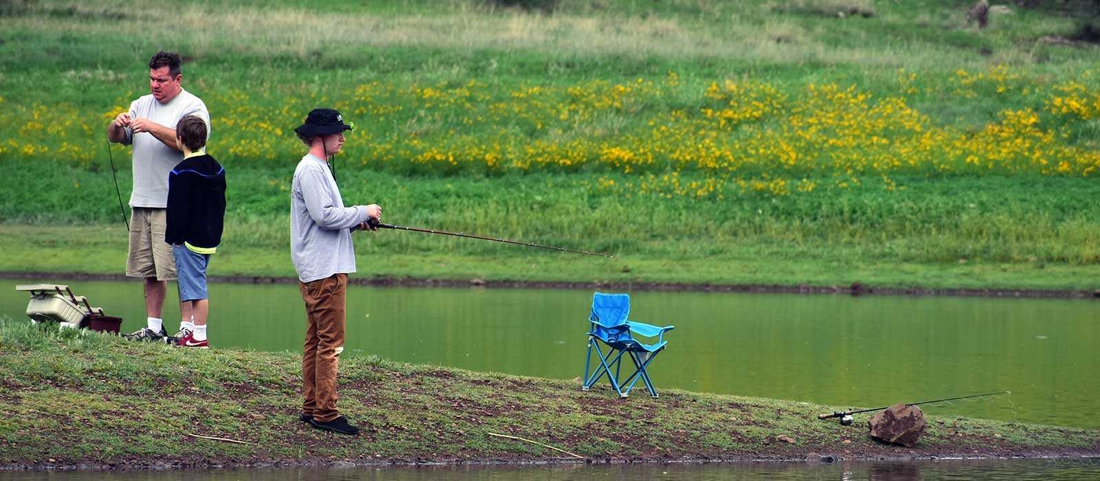 Image of silhouette of an Elk