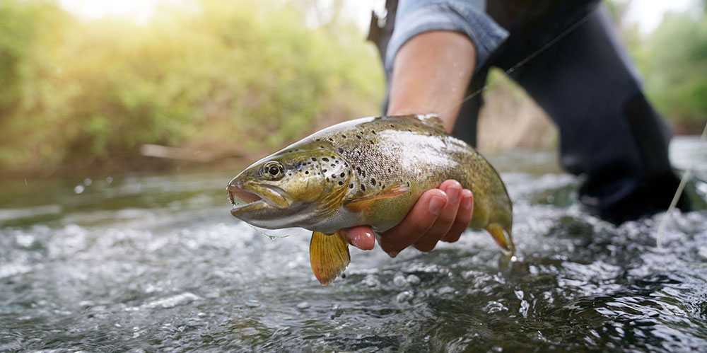 Image of two guys fishing